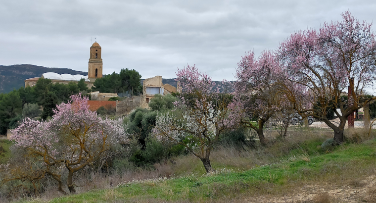 PROYECTO DE CASA RURAL