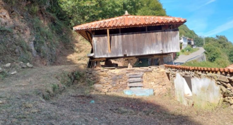 SE VENDE CASA EN TINEO