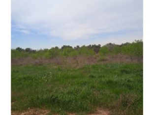 SE VENDE TERRENO EN BELCHITE