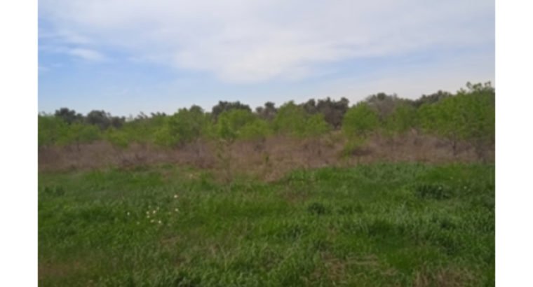 SE VENDE TERRENO EN BELCHITE