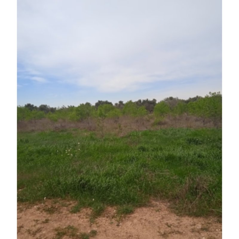 SE VENDE TERRENO EN BELCHITE