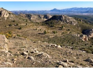 FINCA A LA VENTA EN LLUCENA DEL CID