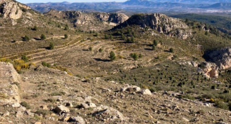 FINCA A LA VENTA EN LLUCENA DEL CID