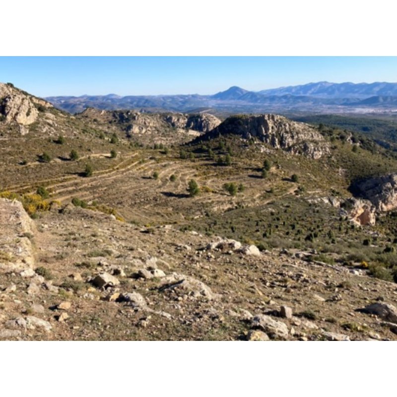 FINCA A LA VENTA EN LLUCENA DEL CID