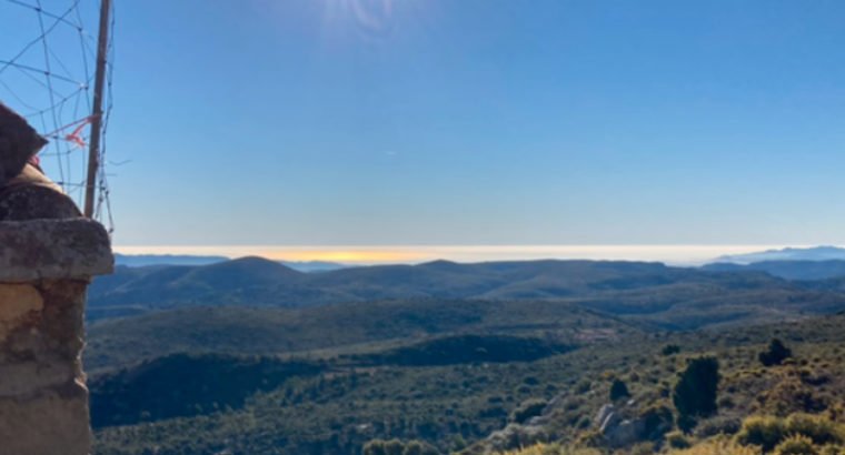 FINCA A LA VENTA EN LLUCENA DEL CID