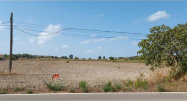 SE VENDE FINA EN SANTA MARGALIDA/CARRETERA DE MURO