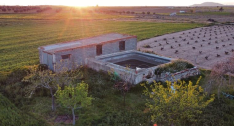 FINCA RUSTICA CON LUZ,AGUA Y CASETA