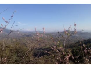 FINCA EN VENTA EN TOLOX, SIERRA DE LAS NIEVES