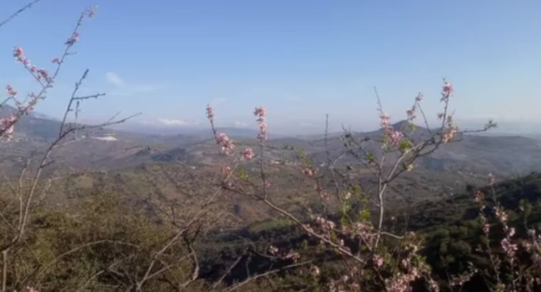 FINCA EN VENTA EN TOLOX, SIERRA DE LAS NIEVES