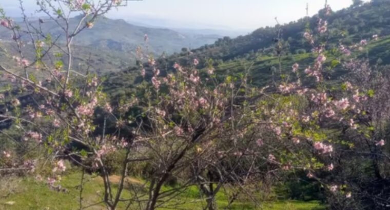 FINCA EN VENTA EN TOLOX, SIERRA DE LAS NIEVES