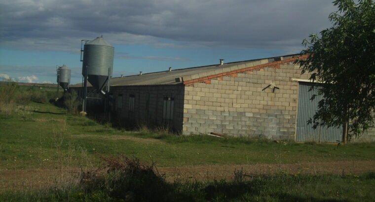 Vendo nave y terreno