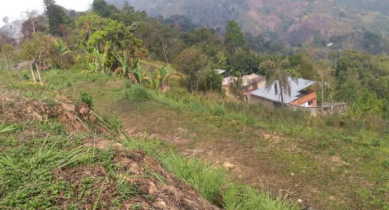 VENDO TERRENO EN TURGUA MUNICIPIO EL HATILLO